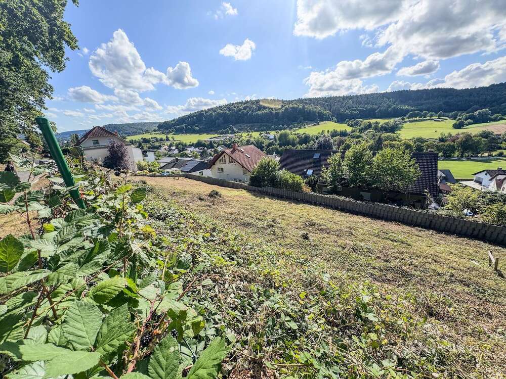 Thumbnail-Grundstück zu verkaufen in Höchst im Odenwald 290.000,00 € 1474 m²
