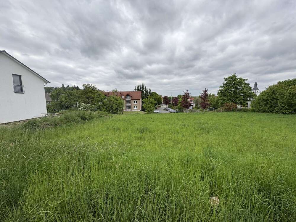 Thumbnail-Grundstück zu verkaufen in Horn-Bad Meinberg 99.000,00 € 699 m²