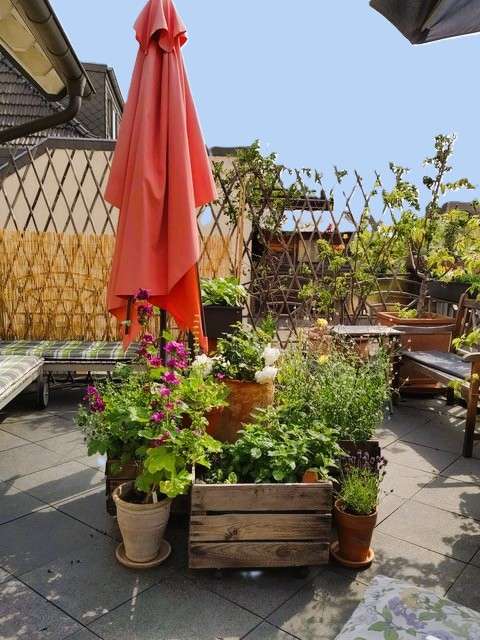 Thumbnail-Haus zum Mieten in Bornheim 2.090,00 € 220 m²