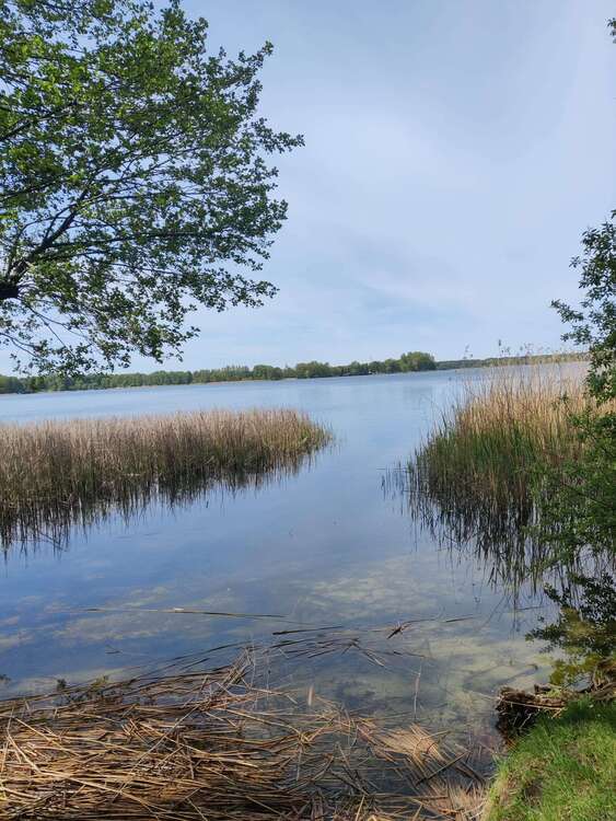 Thumbnail-Grundstück zu verkaufen in Wandlitz 370.000,00 € 1400.09 m²