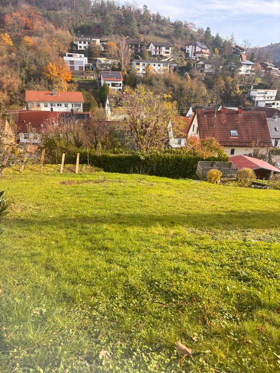 Thumbnail-Grundstück zu verkaufen in Mosbach 135.000,00 € 799 m²