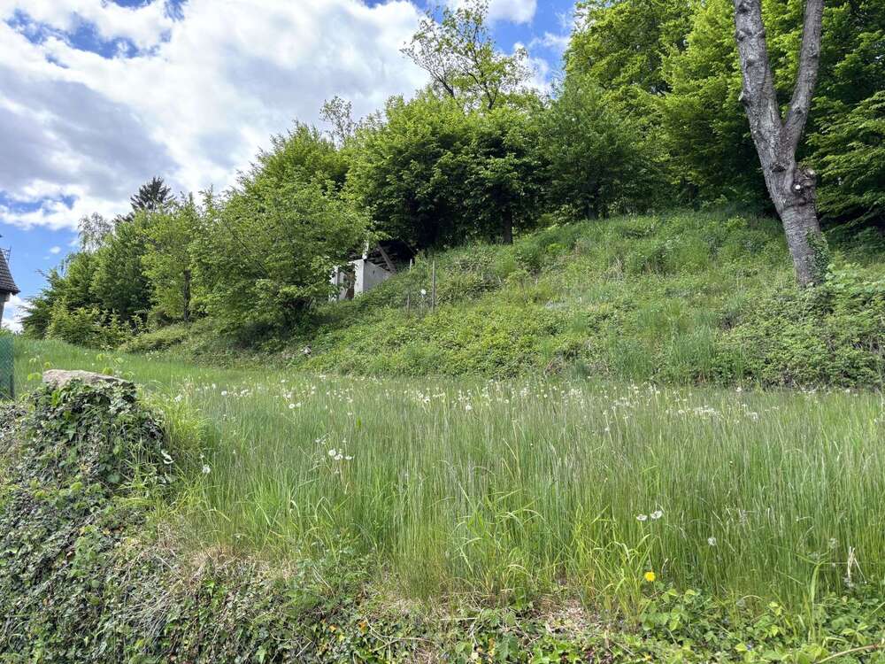 Thumbnail-Grundstück zu verkaufen in Detmold Berlebeck 88.000,00 € 678 m²