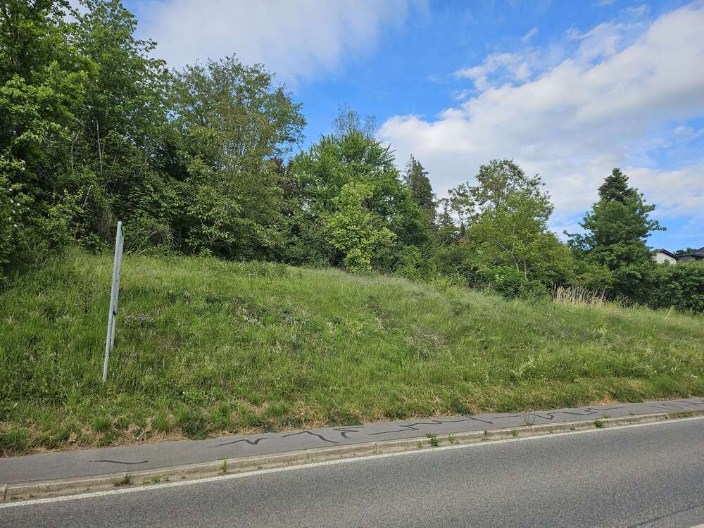 Thumbnail-Grundstück zu verkaufen in Neckarbischofsheim 149.000,00 € 614 m²