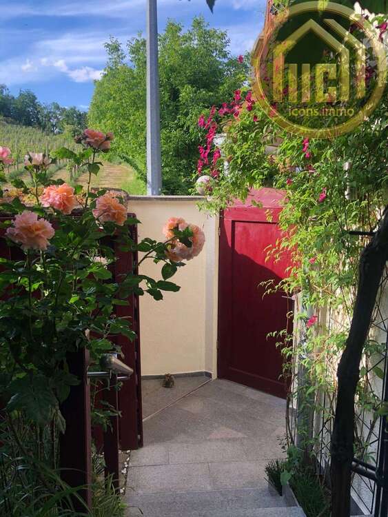 Thumbnail-Wohnung zum Kaufen in Bad Kreuznach 549.000,00 € 179 m²