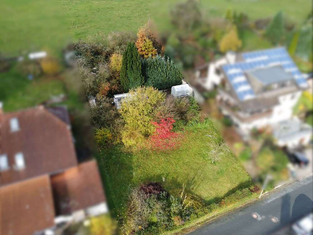 Thumbnail-Grundstück zu verkaufen in Schlangen Kohlstädt 139.000,00 € 799 m²