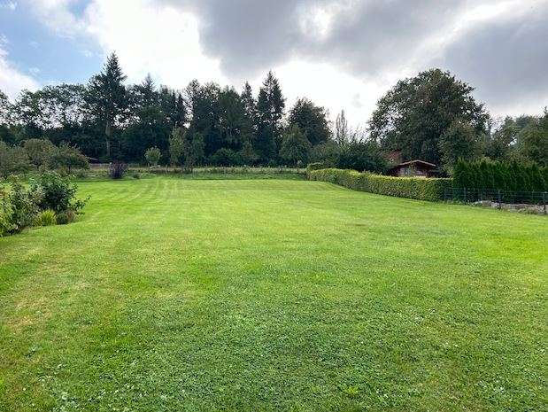 Thumbnail-Grundstück zu verkaufen in Beverungen Dalhausen 29.000,00 € 976 m²