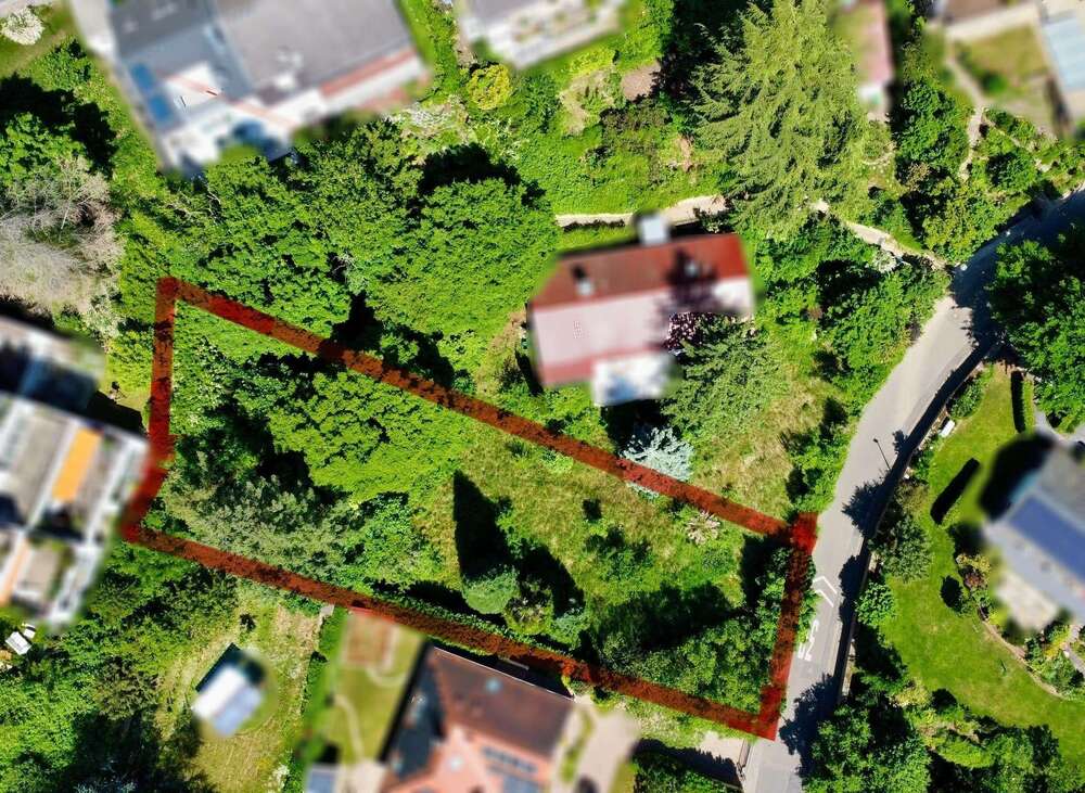 Thumbnail-Grundstück zu verkaufen in Bad Dürkheim 749.000,00 € 1050 m²