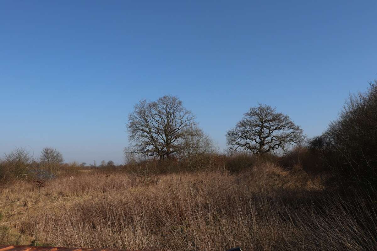 Thumbnail-Grundstück in Schleswig 350.000,00 € 3500 m²