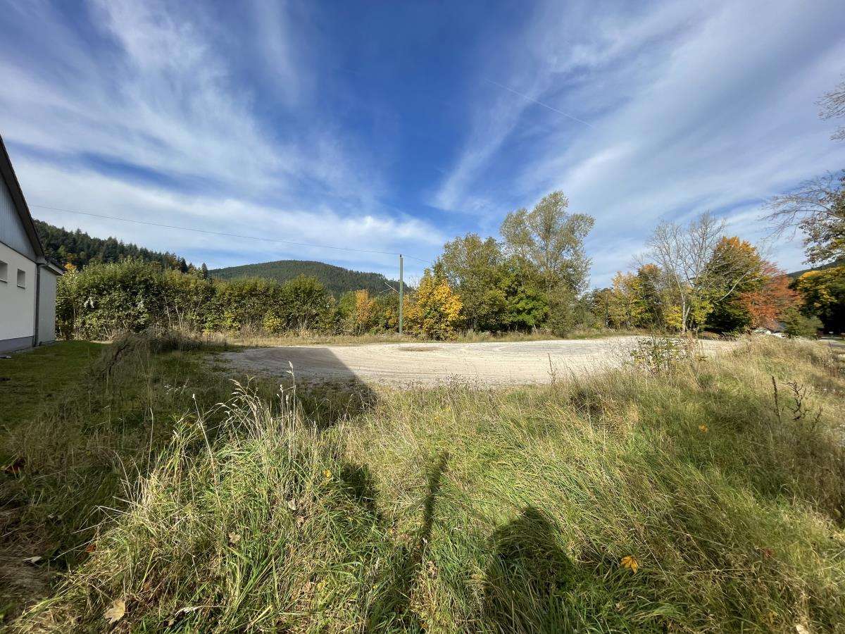 Thumbnail-Grundstück in Baiersbronn 416.000,00 € 2969 m²