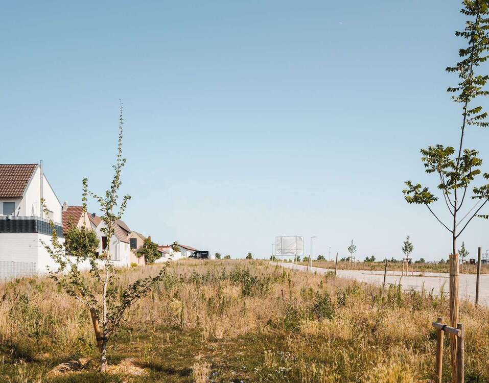 Thumbnail-Grundstück zu verkaufen in Deidesheim 503.000,00 € 400 m²
