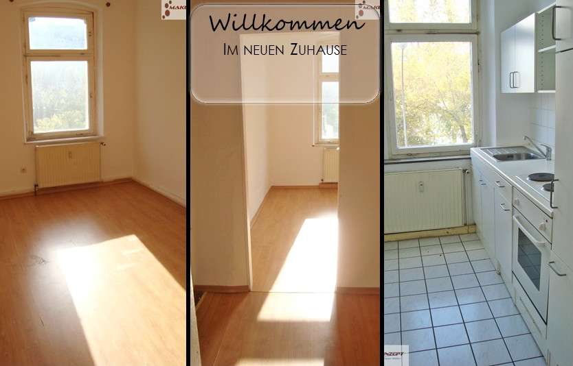 Thumbnail-Wohnung zum Mieten in Hof 370,00 € 65.84 m²