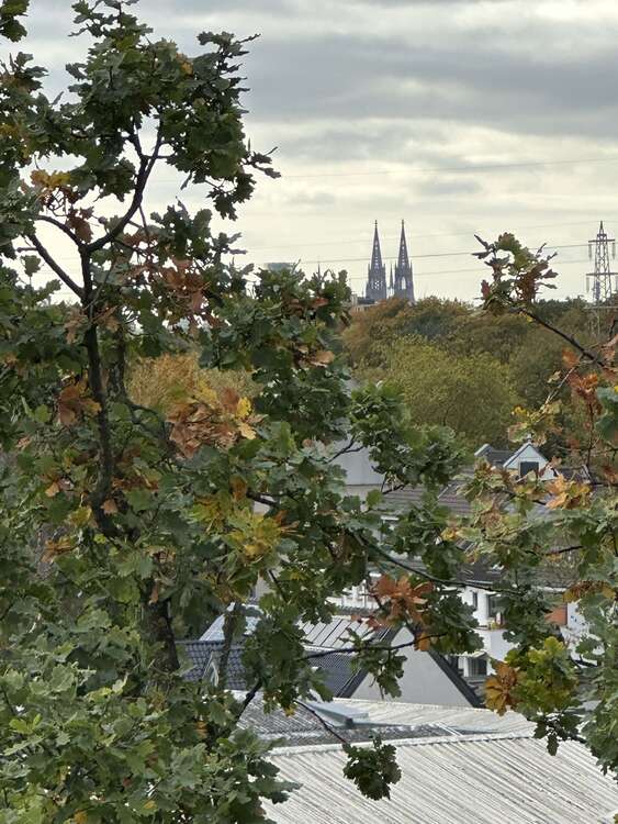 Thumbnail-Wohnung zum Mieten in Köln 990,00 € 56.4 m²