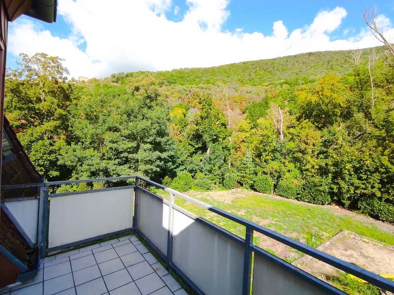 Thumbnail-Wohnung zum Mieten in Neustadt 530,00 € 49 m²