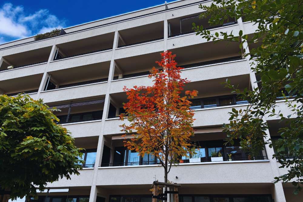 Thumbnail-Wohnung zum Mieten in Leipzig 2.023,00 € 144.5 m²