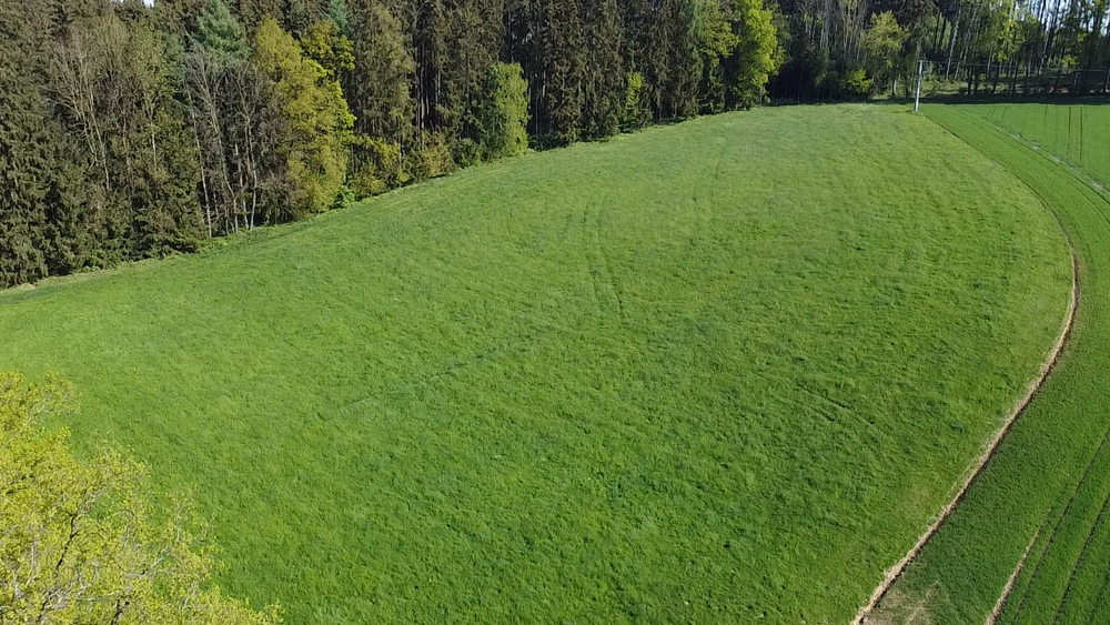 Thumbnail-Grundstück in Vilsheim 146.000,00 € 13900 m²