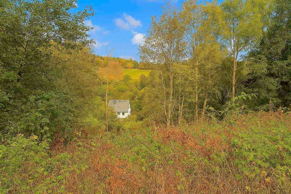 Thumbnail-Grundstück zu verkaufen in Winterberg 55.000,00 € 639.14 m²