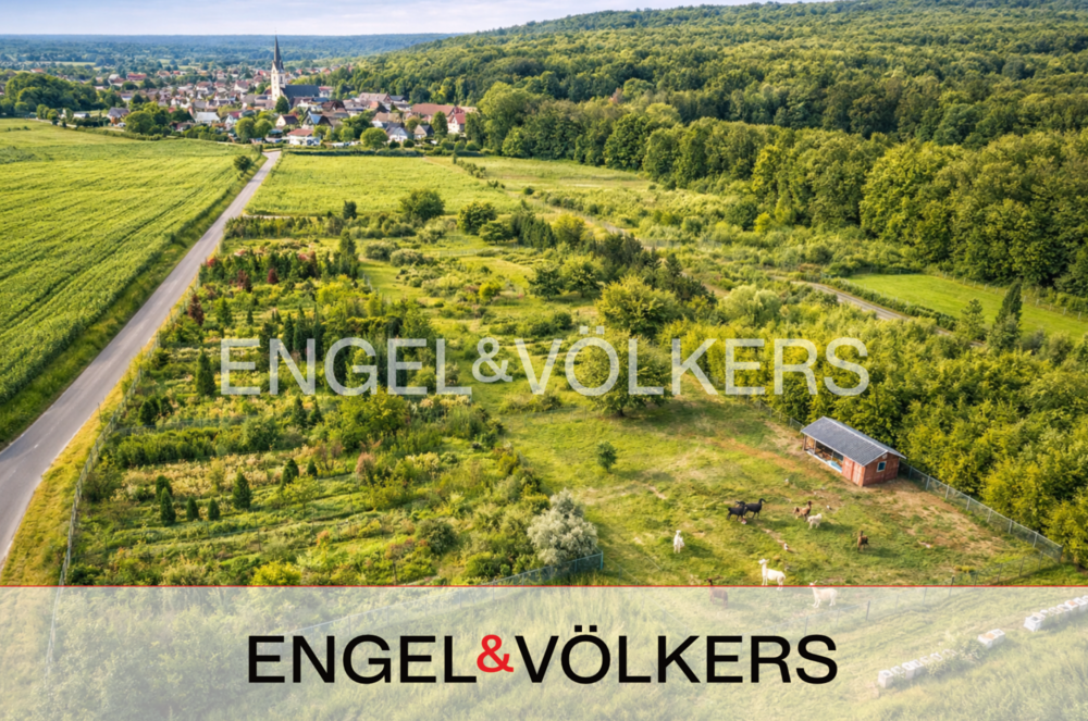 Thumbnail-Grundstück zu verkaufen in Messel 485.000,00 € 16000 m²