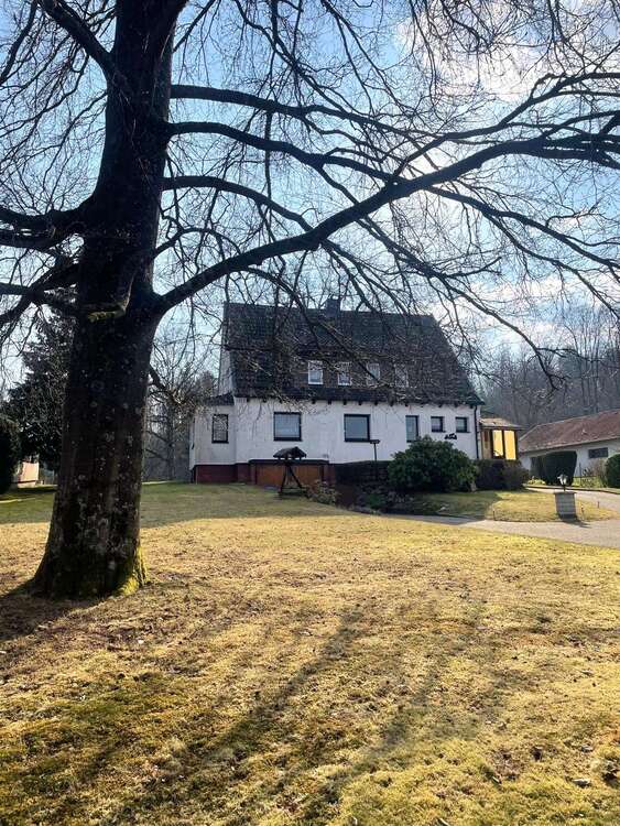 Thumbnail-Haus zum Kaufen in Bad Sachsa 259.000,00 € 219 m²