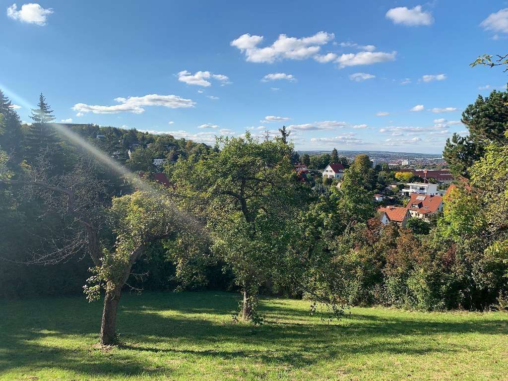 Thumbnail-Grundstück zu verkaufen in Erfurt 498.000,00 € 1176 m²