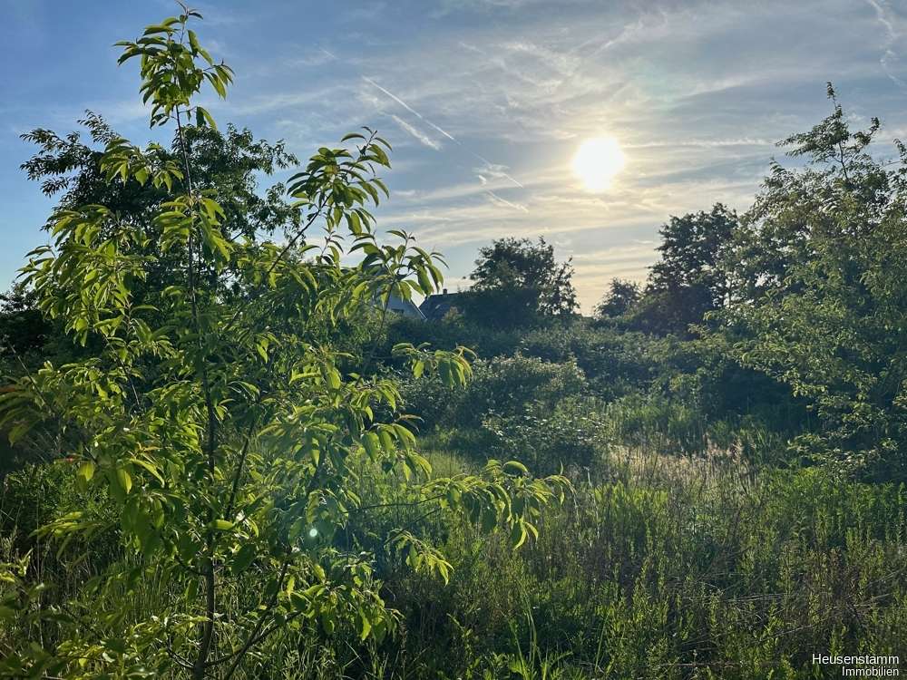 Thumbnail-Grundstück zu verkaufen in Heusenstamm 369.000,00 € 708 m²