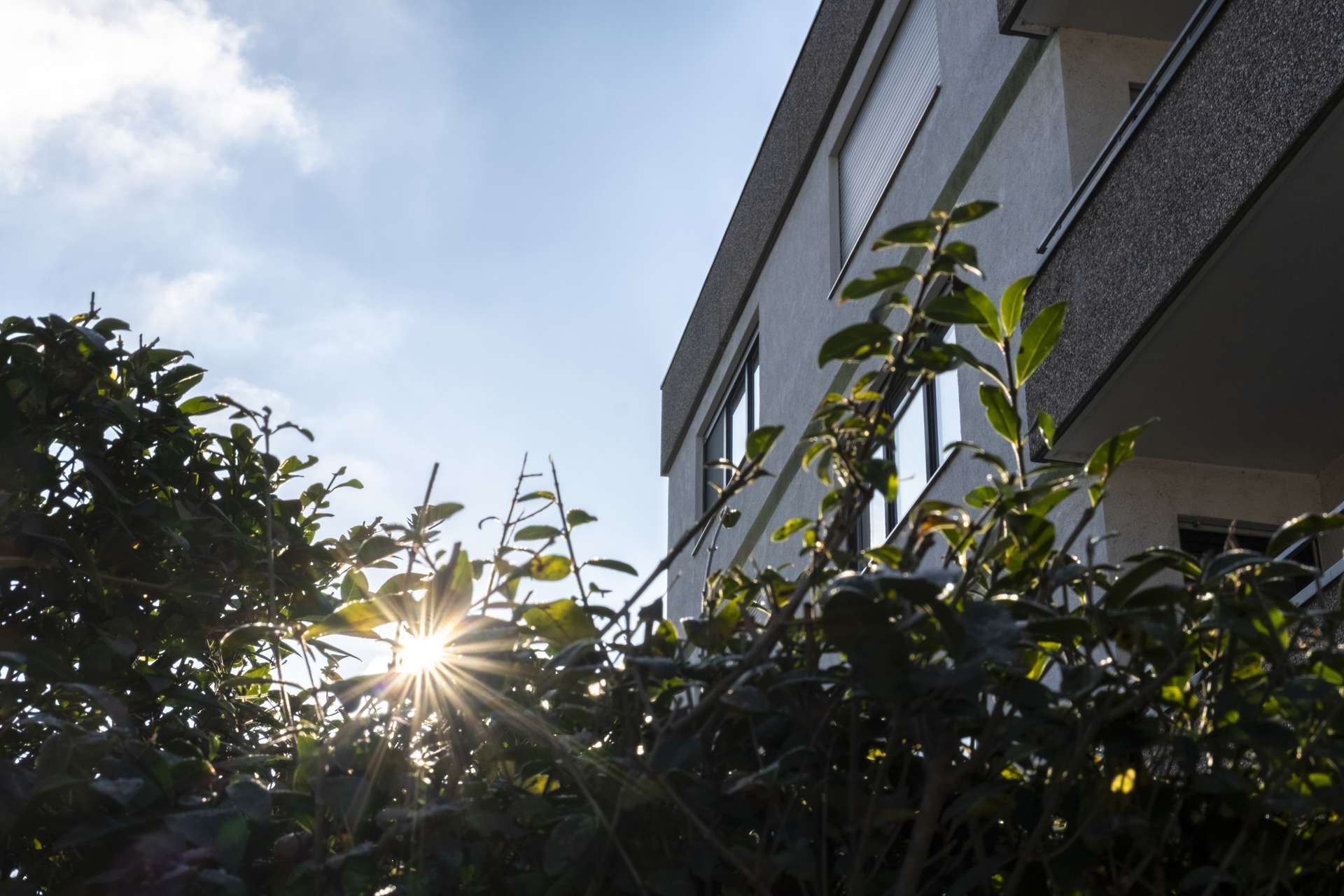 Thumbnail-Wohnung zum Kaufen in Wieblingen 475.000,00 € 112 m²