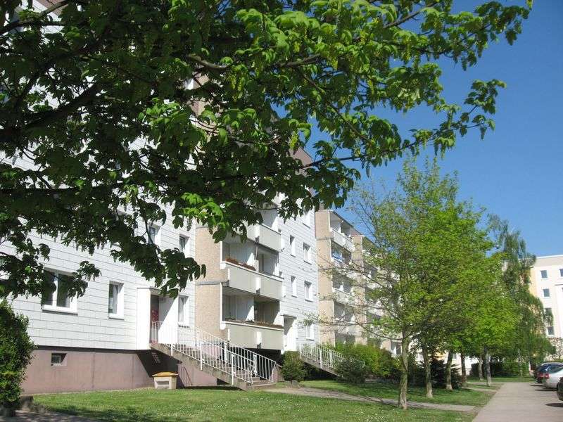 Thumbnail-Wohnung zum Mieten in Schkeuditz 553,50 € 61.5 m²