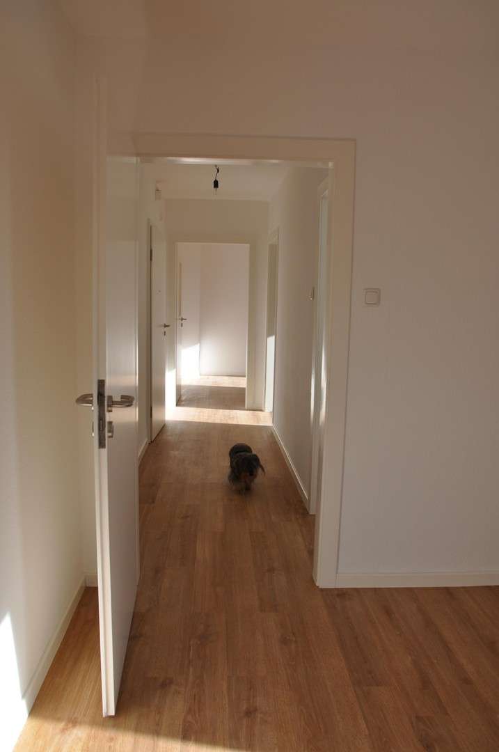 Thumbnail-Wohnung zum Mieten in Essen 513,00 € 41 m²