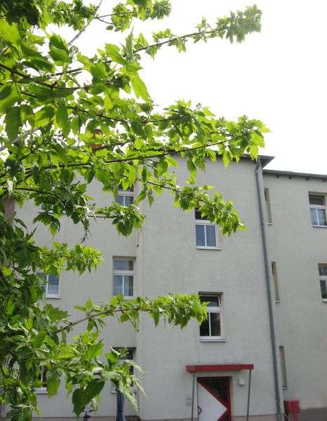 Thumbnail-Wohnung zum Mieten in Schkeuditz 427,50 € 47.5 m²