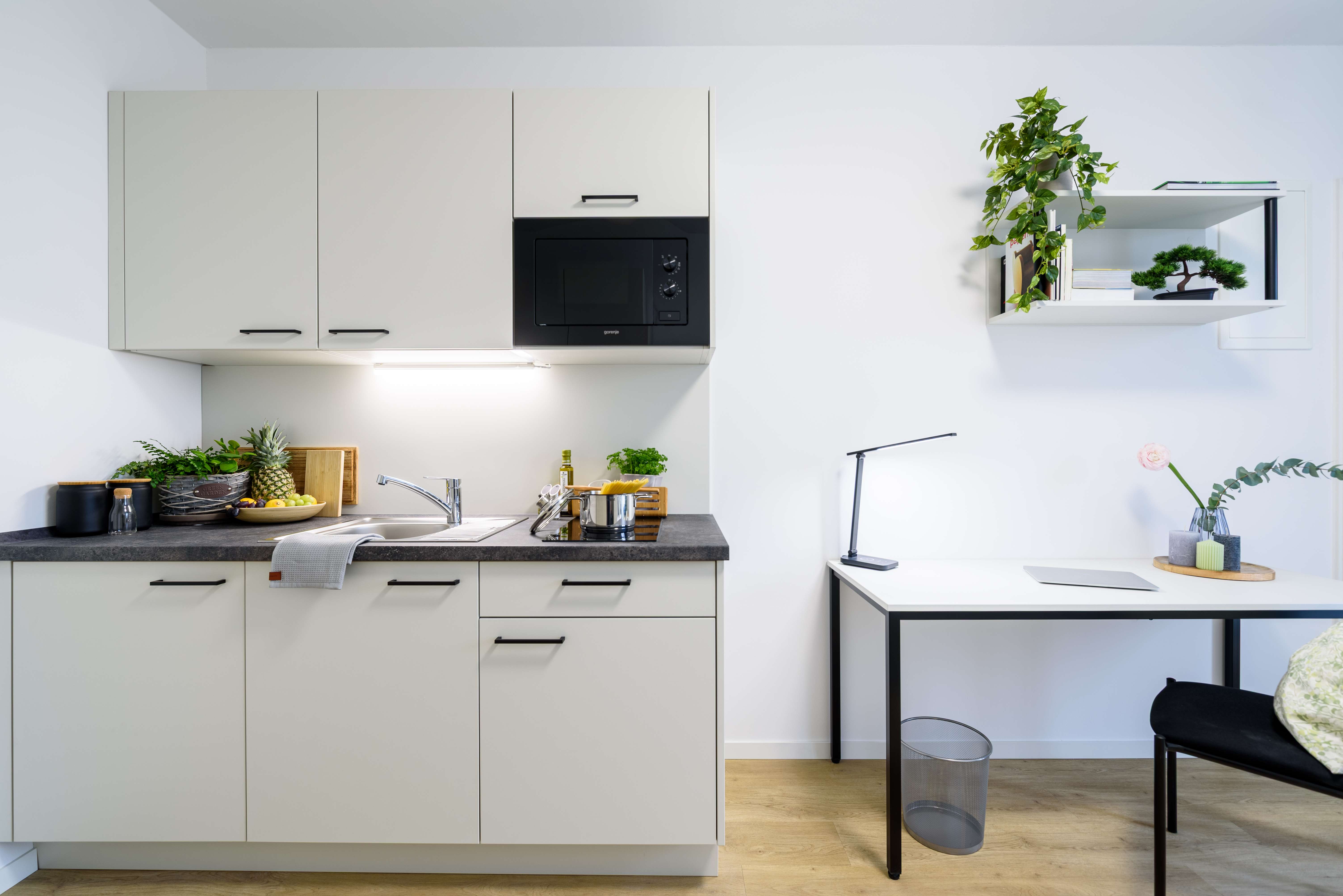 Thumbnail-Wohnung zum Mieten in Potsdam 580,00 € 24.23 m²