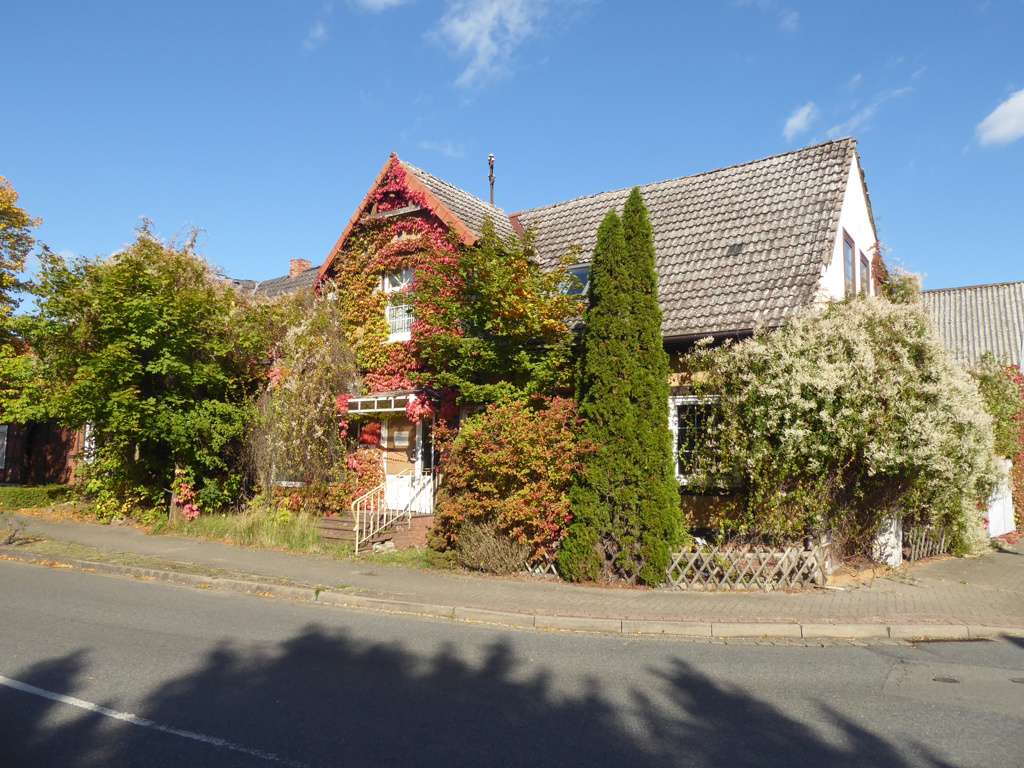 Thumbnail-Haus zum Mieten in Klötze 985,00 € 278 m²