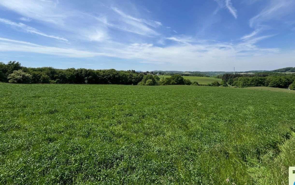 Thumbnail-Grundstück zu verkaufen in Buchholz 112.500,00 € 750 m²