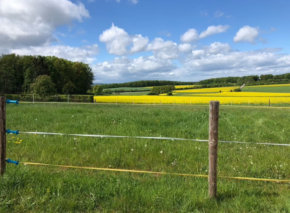 Thumbnail-Grundstück zu verkaufen in Mechernich 270.000,00 € 904 m²