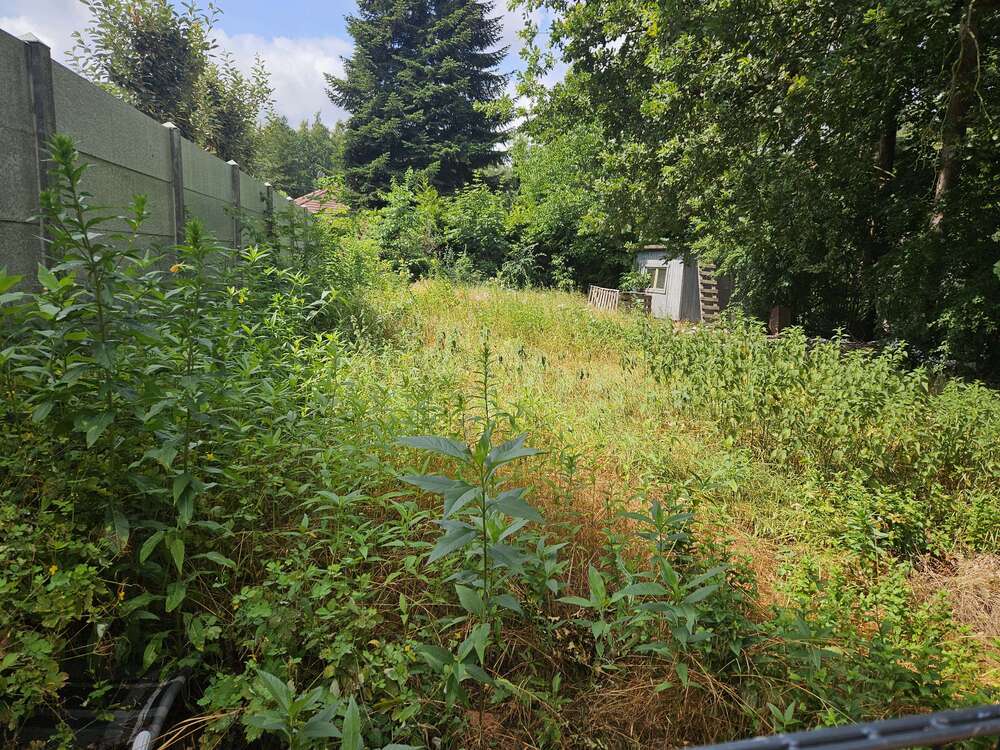 Thumbnail-Grundstück zu verkaufen in Müggelheim 199.000,00 € 586 m²