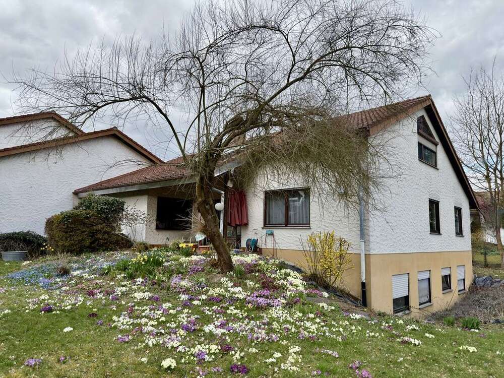 Thumbnail-Haus zum Kaufen in Ulm 789.000,00 € 212 m²