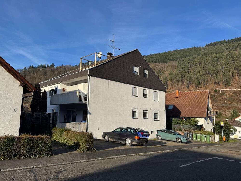 Thumbnail-Haus zum Kaufen in Hirschhorn 990.000,00 € 413 m²