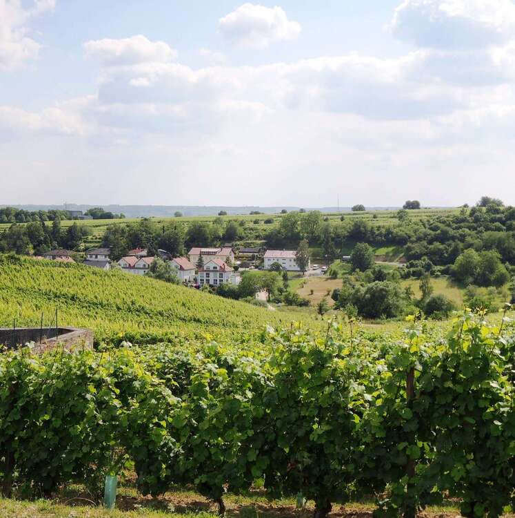 Thumbnail-Haus zum Mieten in Eltville am Rhein 2.750,00 € 183 m²