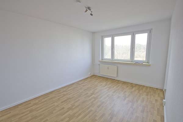 Thumbnail-Wohnung zum Mieten in Halle (Saale) 391,00 € 41.12 m²