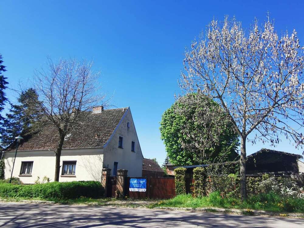 Thumbnail-Haus zum Kaufen in Altreetz 290.000,00 € 158.44 m²