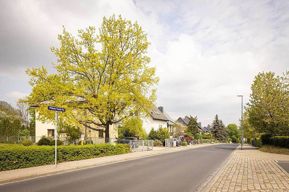 Thumbnail-Wohnung zum Mieten in Dresden 1.340,00 € 74.4 m²