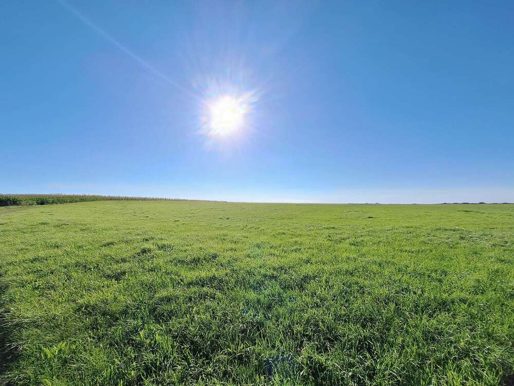 Thumbnail-Grundstück in Vogtareuth 1.520.000,00 € 80000 m²