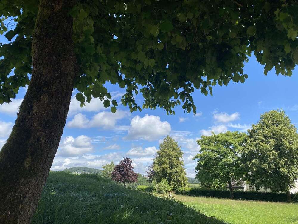 Thumbnail-Wohnung zum Mieten in Winterberg 760,00 € 57 m²