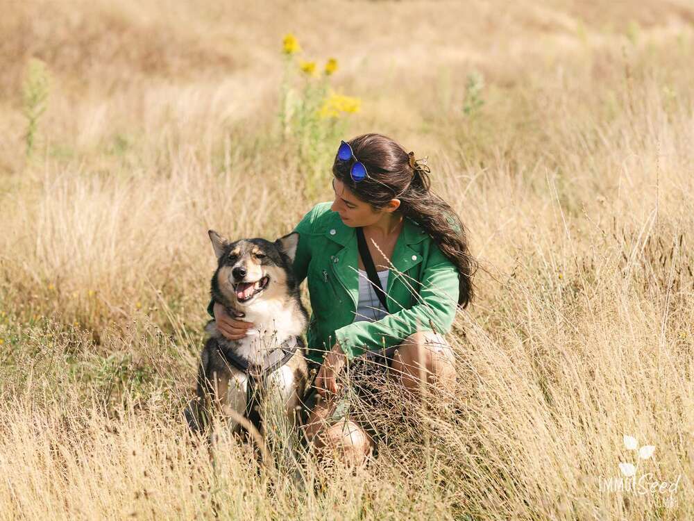 Thumbnail-Grundstück zu verkaufen in Großröhrsdorf 154.900,00 € 779 m²