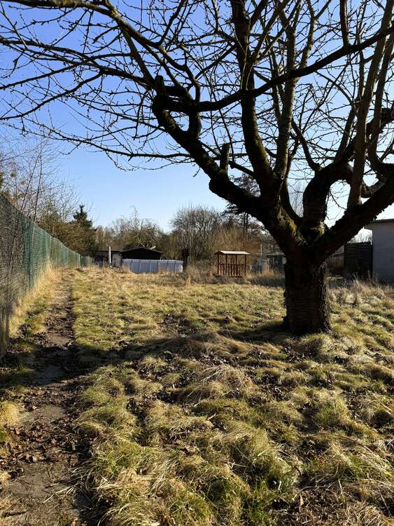 Thumbnail-Grundstück zu verkaufen in Strasburg 14.900,00 € 570 m²