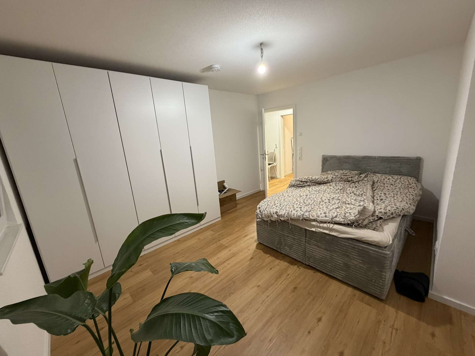 Thumbnail-Wohnung zum Mieten in Friesenheim 720,00 € 50 m²