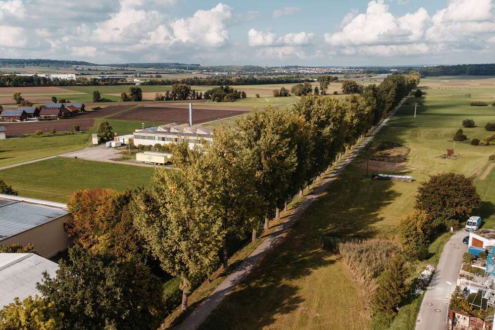 Thumbnail-Haus zum Kaufen in Gärtringen 549.000,00 € 181.34 m²