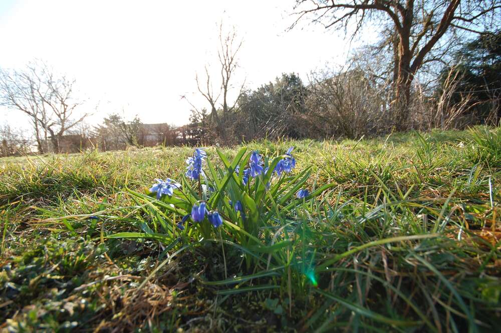 Thumbnail-Grundstück zu verkaufen in Märkische Heide 75.000,00 € 850 m²