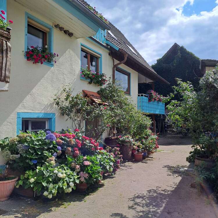Thumbnail-Haus zum Kaufen in Herbolzheim 795.000,00 € 220 m²