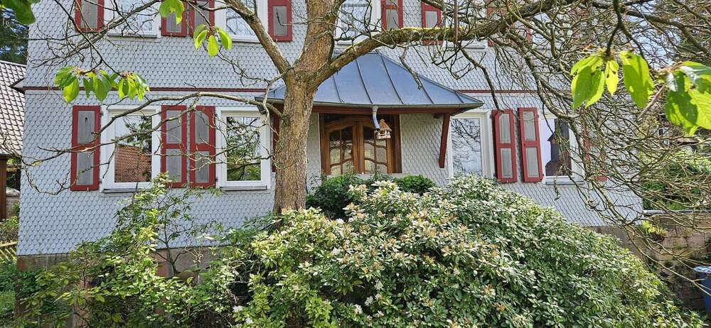 Thumbnail-Haus zum Kaufen in Biebergemünd OT Bieber 585.000,00 € 240 m²