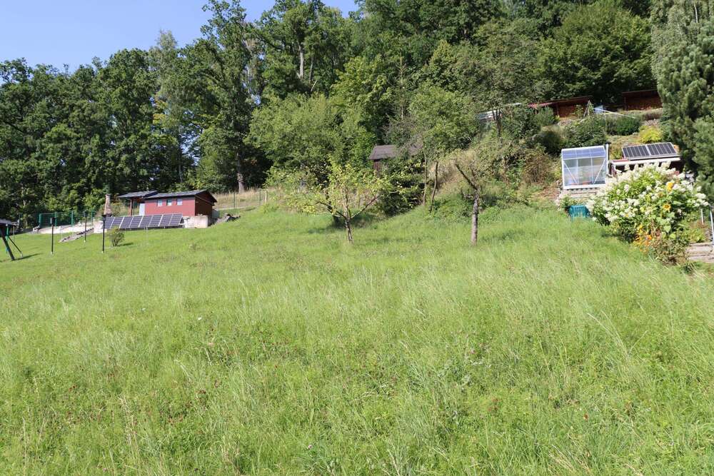 Thumbnail-Grundstück zu verkaufen in Chemnitz 49.950,00 € 990 m²