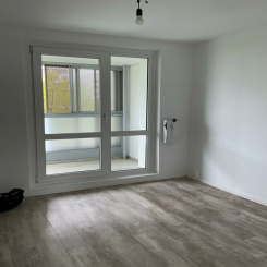 Thumbnail-Wohnung zum Mieten in Halle (Saale) 438,00 € 58.39 m²